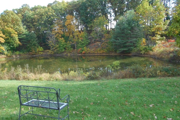 The pond invites you to slow down and sit a while.