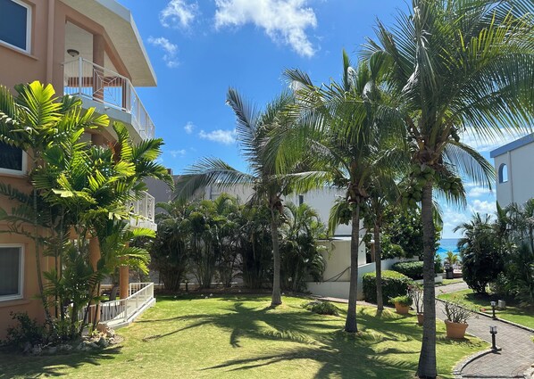 Terrein van de accommodatie