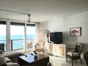 Televisión y libros 