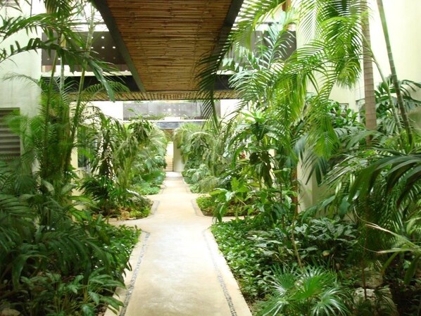 A corridor lined with lush tropical plants and a concrete pathway.