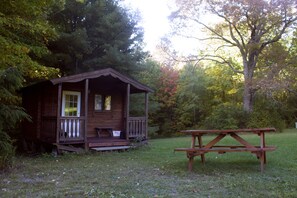 Property grounds - Family Friendly Cabin - Sleeps 4, Hiking, Mountain Biking, Beautiful & Private (Freeville)