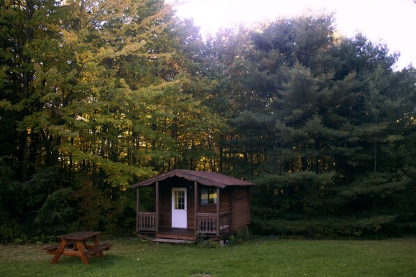 A small wooden cabin with a porch and a picnic table in a forested area. - Family Friendly Cabin - Sleeps 4, Hiking, Mountain Biking, Beautiful & Private (Freeville)