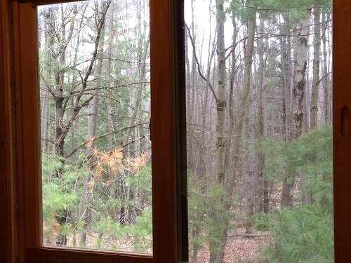 Family Friendly Cabin - Sleeps 4, Hiking, Mountain Biking, Beautiful & Private