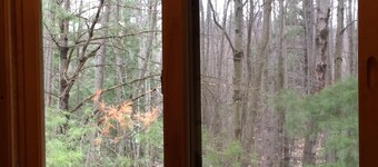 Cabine familiale - 4 personnes, randonnée pédestre, VTT, belle et privée