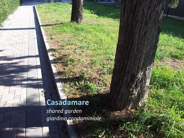Stroll through the serene garden, featuring a paved walkway and lush greenery beneath a majestic tree.