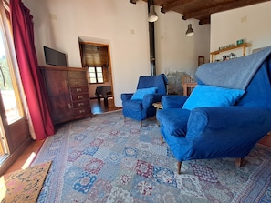 Smart TV, fireplace, books