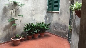 Een binnenplaats met terracotta tegels, potplanten, een klimplant en een raam met groene luiken.