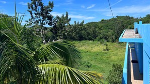 A blue building with a narrow corridor and a view of a lush green landscape with trees and hills in the background.