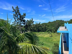Property grounds - 2 Bedroom Private Home with Gorgeous Views and Pool   (Rincón)
