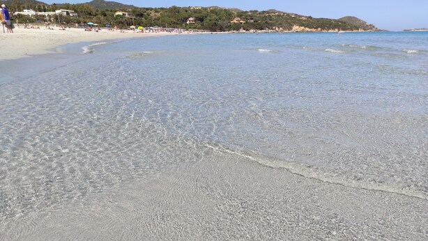 Une plage avec une eau claire et peu profonde, un rivage sablonneux et des bâtiments en arrière-plan.