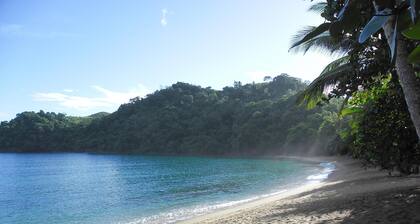 Secluded retreat with lush landscaped gardens where nature takes center stage.