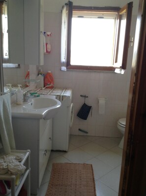 Shower, hair dryer, bidet