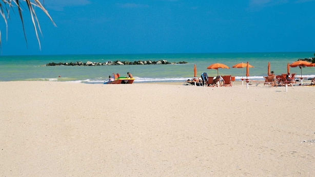 A beach with clear blue water, palm trees, and beach chairs under orange umbrellas.