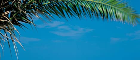 Sun-loungers, beach towels