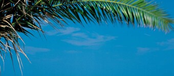 Charming farmhouse + cottage with 360° views. A/C in bedrooms, 12x6m gated pool,