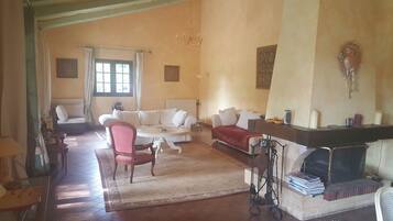 Télévision, cheminée, lecteur de DVD, livres