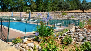 Una piscina con cerramiento de vidrio, rodeada por un paisaje rocoso y diversas plantas.