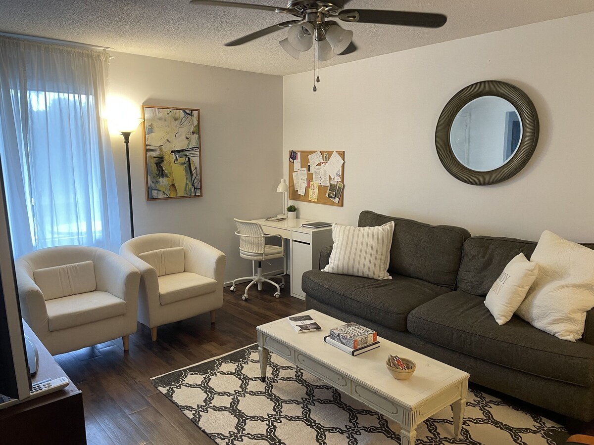 Downtown Greenville Historic District Vacation/Corporate Condo!