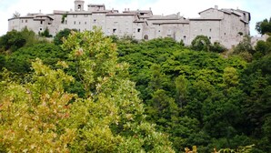 Un edificio de piedra grande e histórico con varios niveles y una torre destacada, rodeado de exuberante follaje verde.