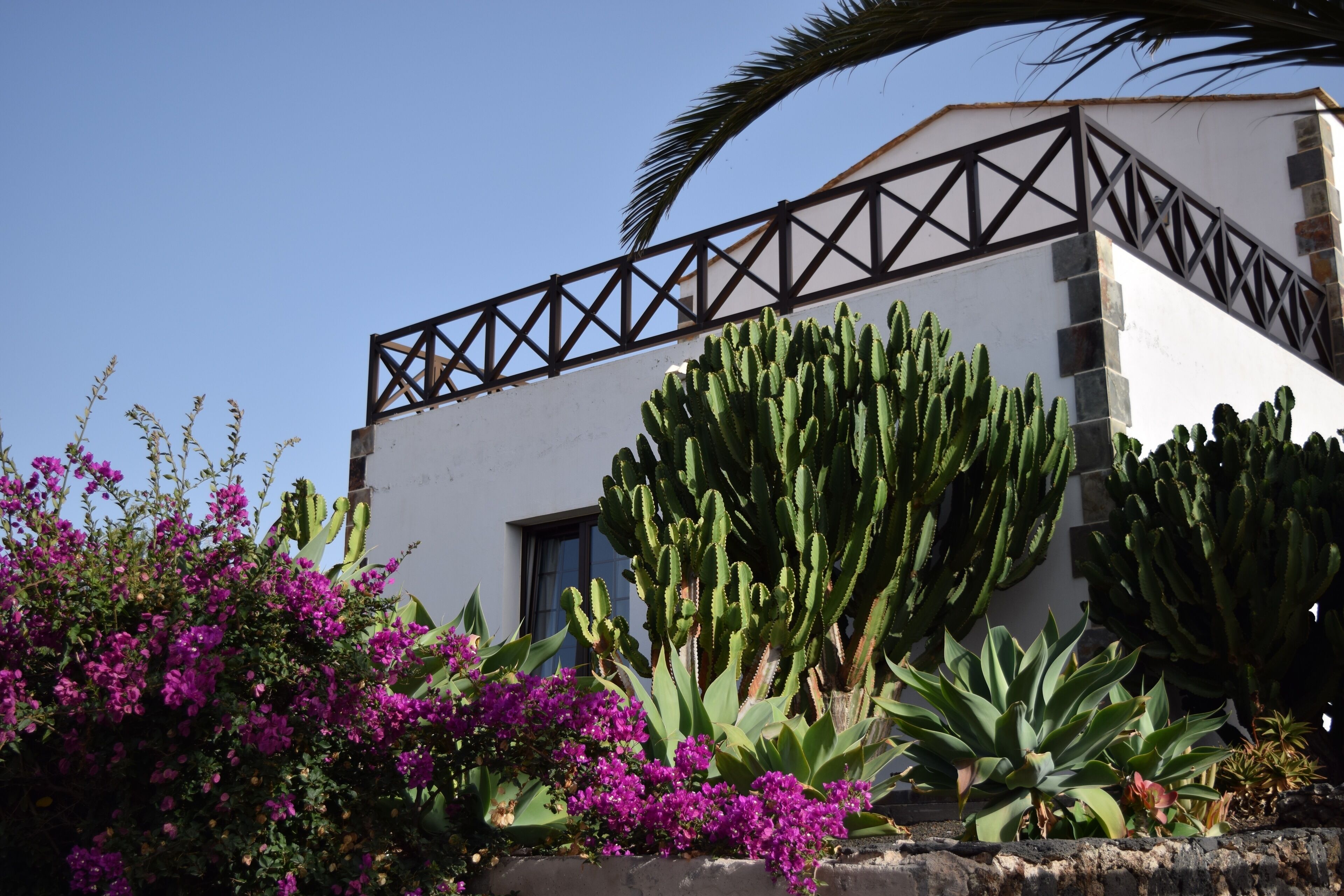 Villa 4 chambres, avec jardin