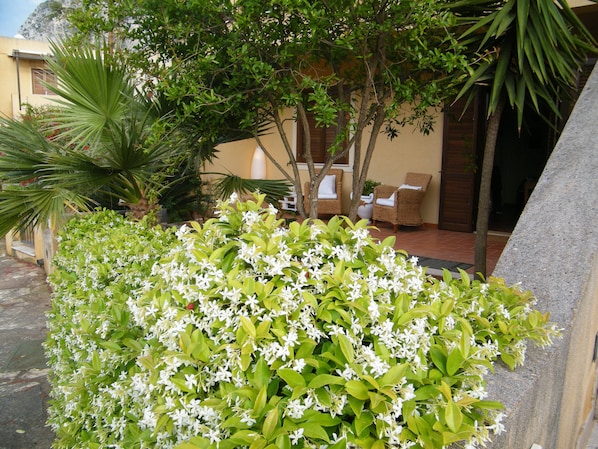 A lush garden with white flowers and a seating area with wicker furniture.