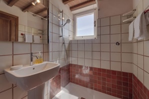 Combined shower/tub, bidet, towels, toilet paper