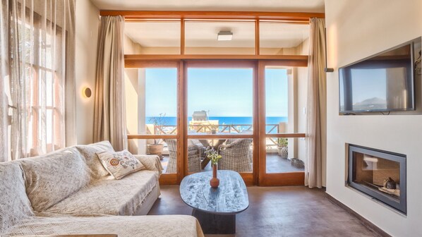 Smart TV, fireplace, books