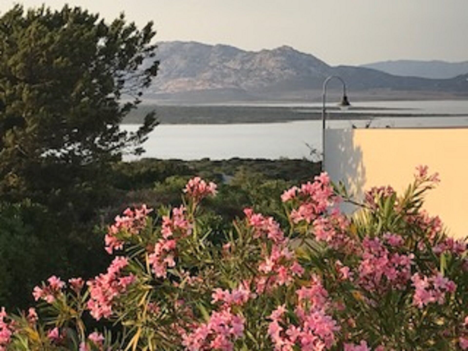 A view of a lake with mountains in the background and a building with pink flowers in the foreground.