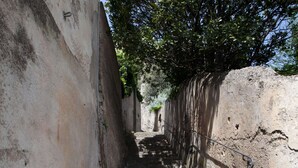 Eine schmale Steintreppe in einem historischen Gebäude mit einer rustikalen Wand und einem Baum, der Schatten spendet.