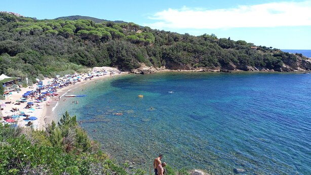A coastal beach with clear blue waters, a sandy shore, and lush green hills in the background. - Villa Giuliana, Two-room apartment 4 Ptl. (Capoliveri)