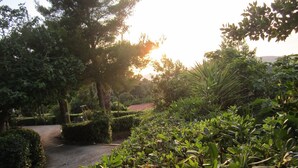 A garden pathway surrounded by lush greenery and trees. - Villa Giuliana, Two-room apartment 4 Ptl. (Capoliveri)