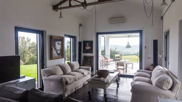 TV connectée, cheminée, lecteur de DVD, livres