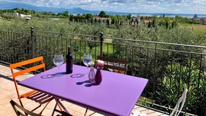 A table set outdoors with a view of a vineyard and distant mountains.