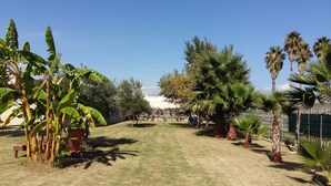 Un jardín bien cuidado con diversas plantas tropicales, un banco de madera y un cielo despejado.