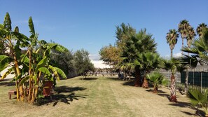 Property grounds - VILLA SOLE AT 30 M. FROM THE SEA FOR 10 PEOPLE (Avola)