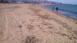 Una playa arenosa con huellas que conducen al agua, un cielo despejado y edificios a lo lejos.