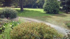 A garden with a gravel path, green grass, and various shrubs.