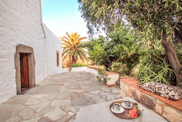 Un patio empedrado con una palmera, un edificio blanco y una zona de estar con un cojín estampado.