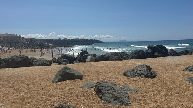 Une plage avec de gros rochers au premier plan, une plage de sable et un ciel bleu dégagé.