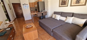 Smart TV, books, computer monitors