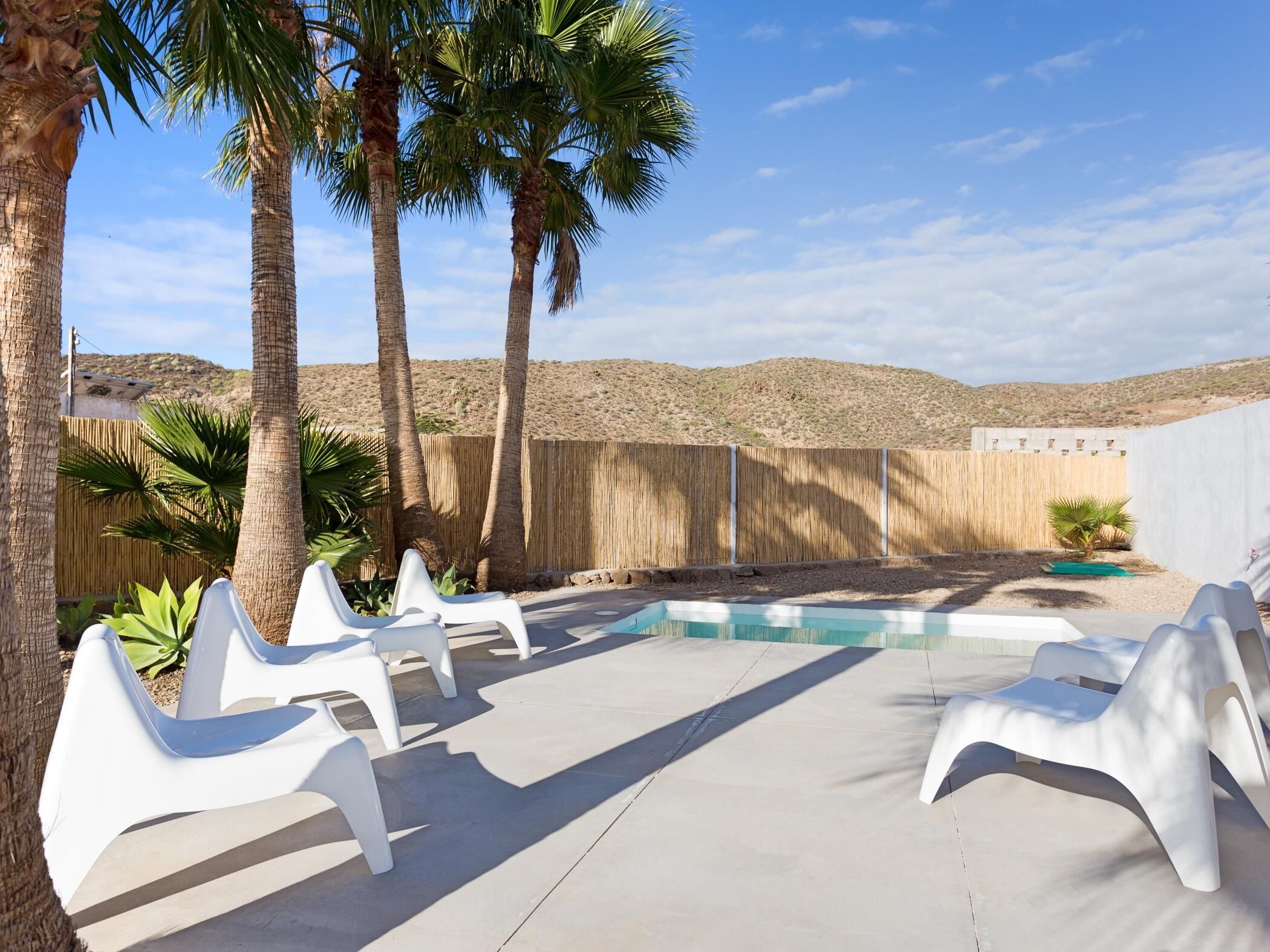 Un jardin avec une piscine, des chaises longues blanches, des palmiers et une clôture en bois.