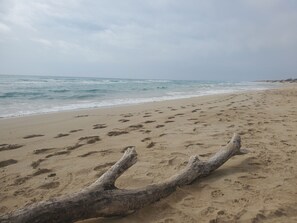 On the beach