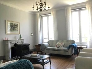 TV connectée, cheminée, lecteur de DVD, livres