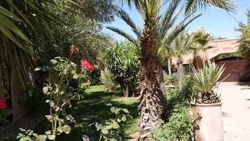 Overnatningsstedets område