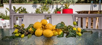 Villa Gagliardetta prachtige villa met zwembad tussen groen en zee.