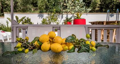 Villa Gagliardetta splendid villa with swimming pool between the greenery and the sea.