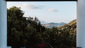 Vista attraverso una finestra con cornice bianca su un rigoglioso giardino con diverse piante e una catena montuosa in lontananza.