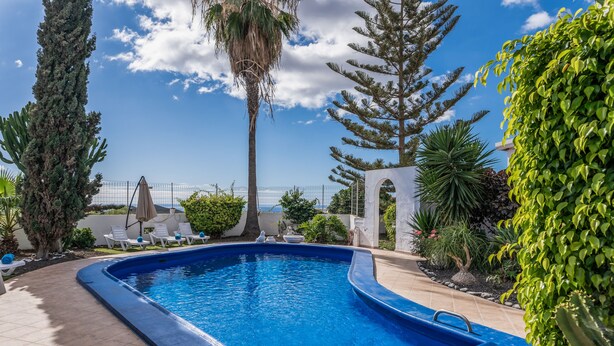 A swimming pool with a curved edge, surrounded by a tiled deck, and various plants and trees.