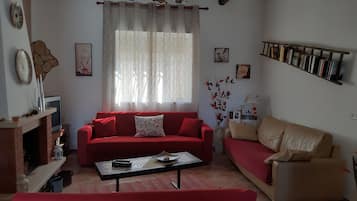 TV, fireplace, books