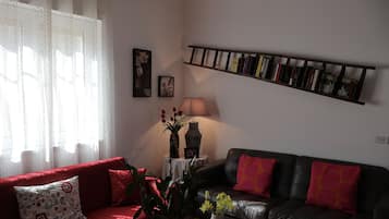 TV, fireplace, books